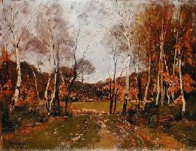 Wooded landscape