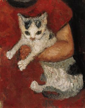 Katze in einem Kinderarm Um 1903