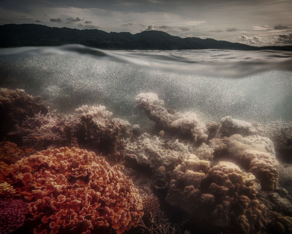 Unterwasserabend von Pavol Stranak