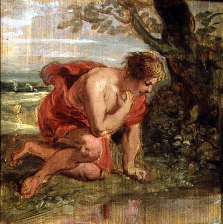 Narcissus von Peter Paul Rubens