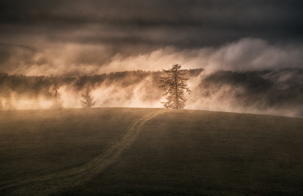 Aufsteigender Nebel von Peter Svoboda MQEP