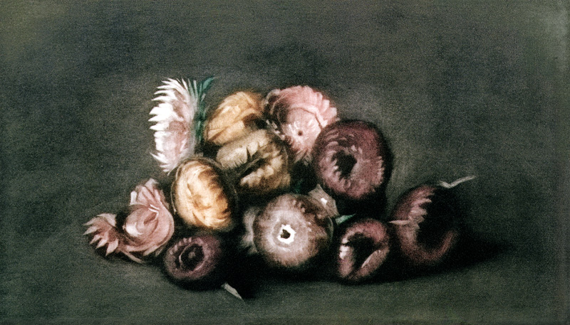 Still Life of Dried Flowers (coloured mezzotint) von Peter Vilhelm Ilsted