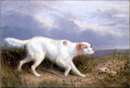 A Setter on the Moor von Philip Reinagle