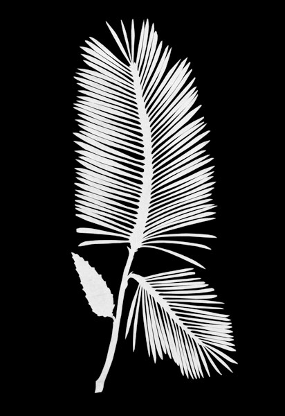 Palmwedel. von Phillip Otto Runge