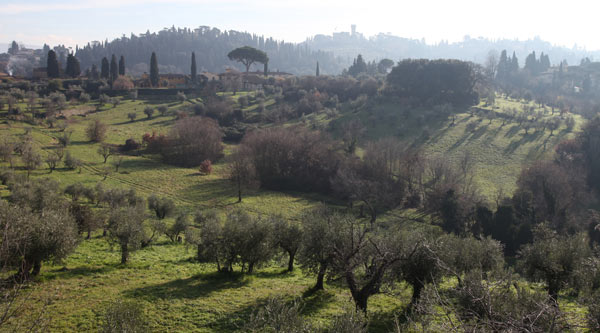 Paesaggio Collinare nei dintorni di Firenze von Andrea Piccinini