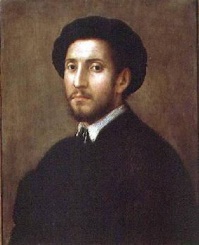 Portrait of a Man c.1530-40