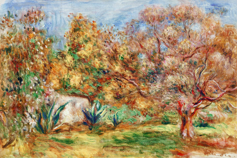 Olivengarten von Pierre-Auguste Renoir
