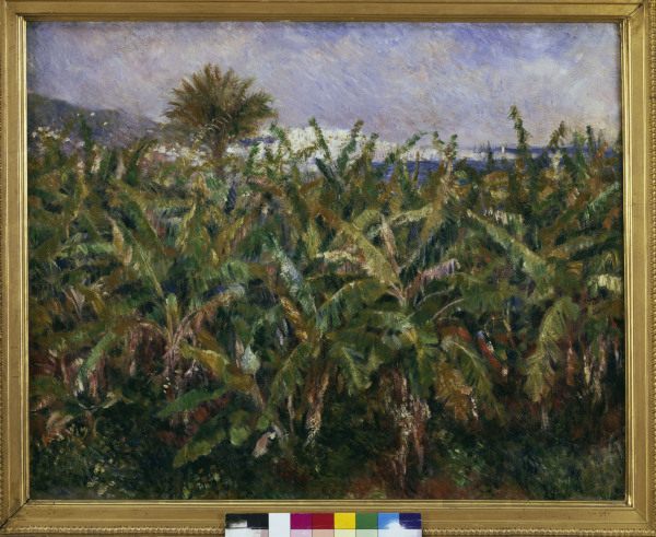 Renoir / Banana Plantation / 1881 von Pierre-Auguste Renoir
