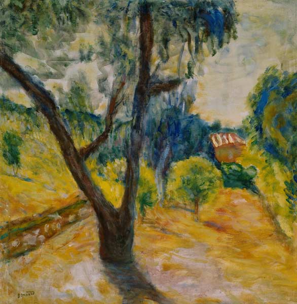 Paysage à l’olivier von Pierre Bonnard
