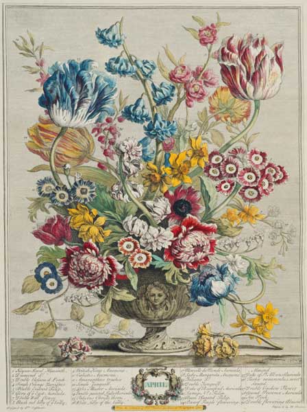 April, from 'Twelve Months of Flowers', by Robert Furber (c.1674-1756), engraved by Henry Fletcher ( von Pieter Casteels