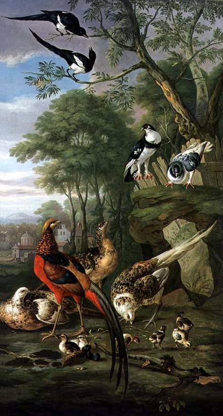Cock pheasant, hen pheasant and chicks and other birds in a classical landscape von Pieter Casteels