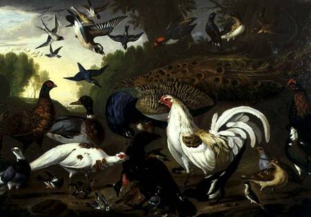 The Fable of the Raven with a Peacock, Cockerel, Woodpecker, Jay, Woodcock, and Magpie von Pieter Casteels
