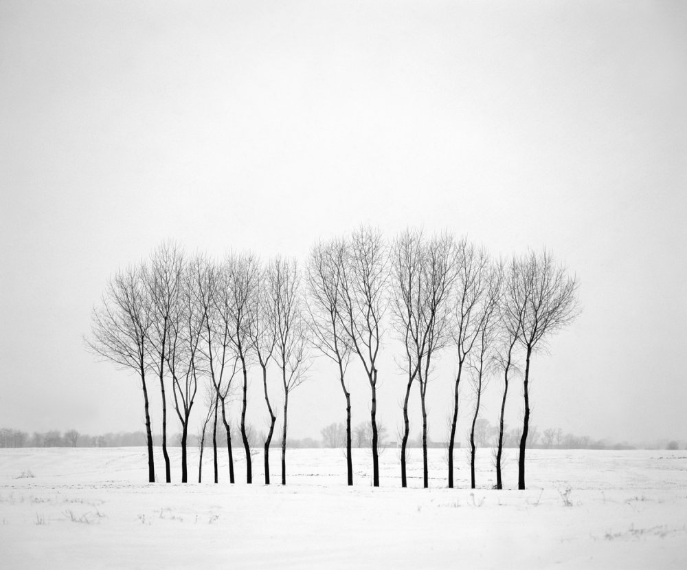 Winterlandschaft mit Bäumen von Piotr Ciesla