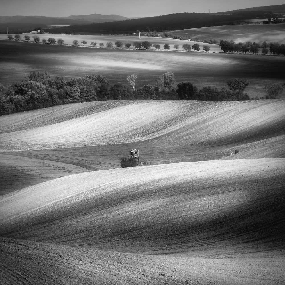 Moravian fields von Piotr Krol (Bax)