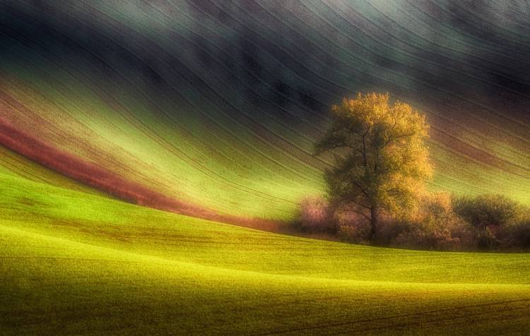 Moravian fields von Piotr Krol (Bax)