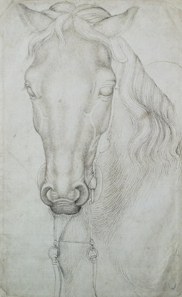 Head of a Horse (pen & ink on paper) von Pisanello