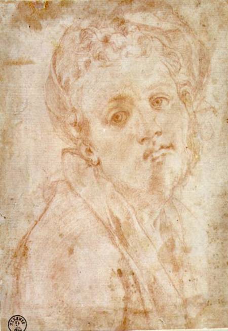 Self Portrait von Jacopo Pontormo, Carucci da