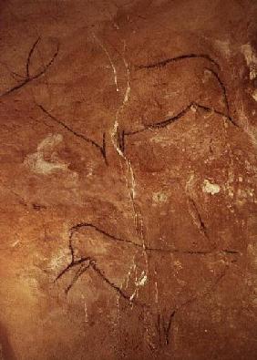 Two Stags, from the Caves of Altamira c.15000 BC