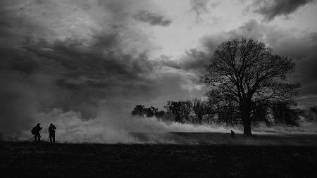 Kontrollierter Brand im Valley Forge Historic Park