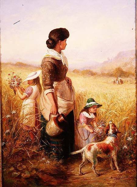 Playing in the Fields von R. Saunderson-Cathering