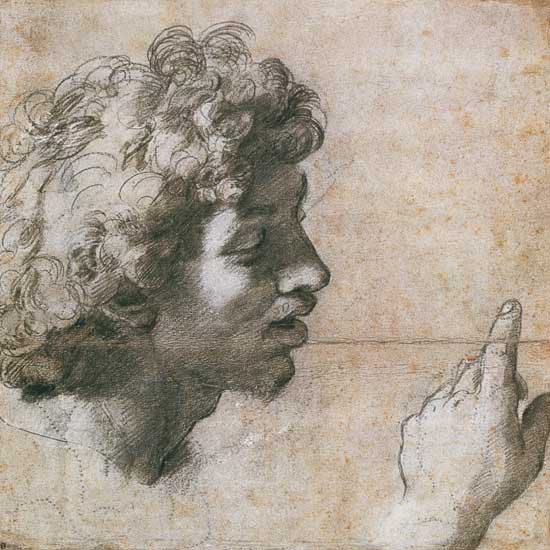 Studies of a Man's Head and Hand von Raffael - Raffaello Santi