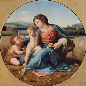 Madonna Alba (Tondo) 1511