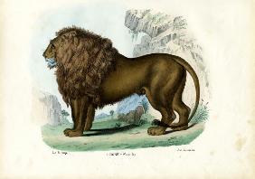 Lion 1863-79