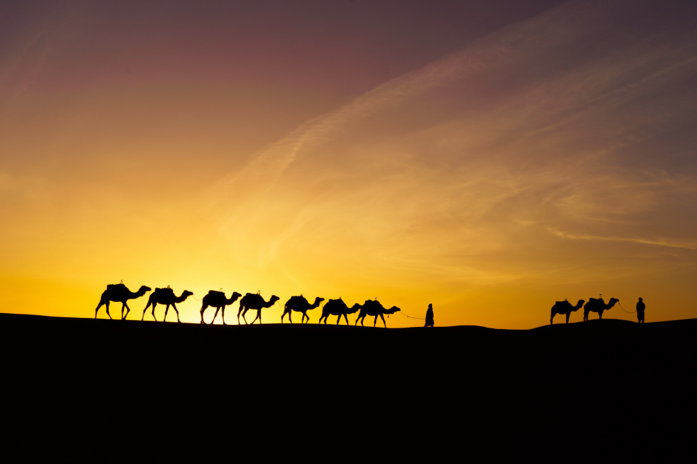 Sonnenaufgangssilhouette von Kamelen und Hundeführer,Merzouga von Ran Dembo
