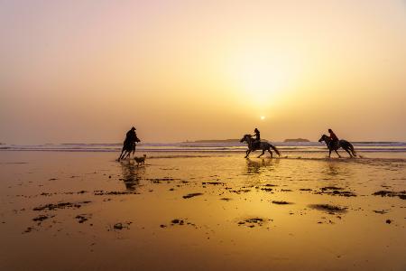 Sonnenuntergangsilhouette von Pferden und Reitern,Strand von Essaouira