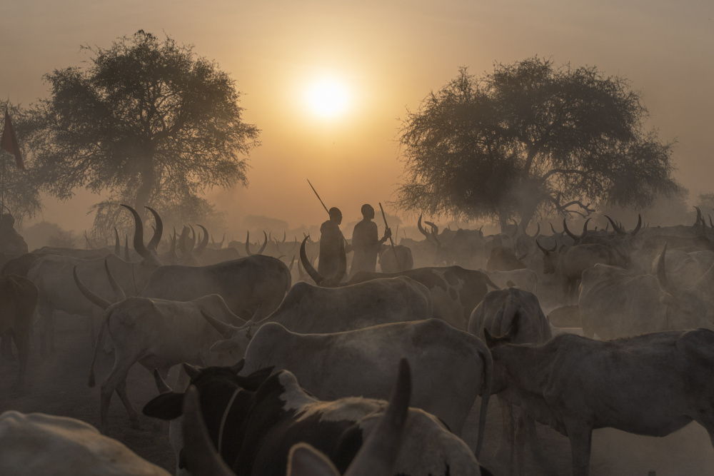 Sonnenuntergang im Rinderlager Mundari,Südsudan von Raul Cacho Oses