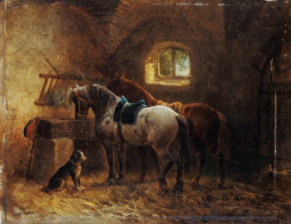 Pferde im Stall von Reinhold Braun