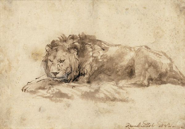 Liegender Löwe Liggende leeuw von Rembrandt van Rijn