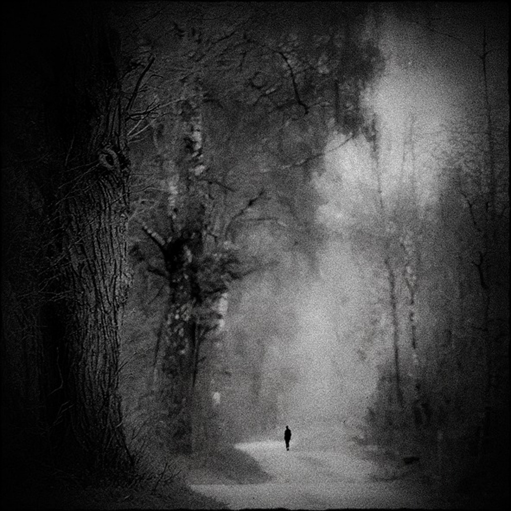 die Einsamkeit im Wald von Renate Wasinger