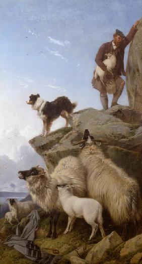 The stray lamb (Das verirrte Schaf) 1868