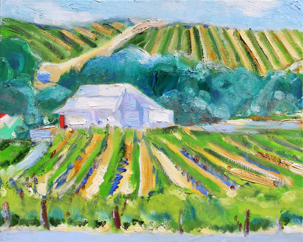 White Barn and Vineyard, Napa von Richard Fox