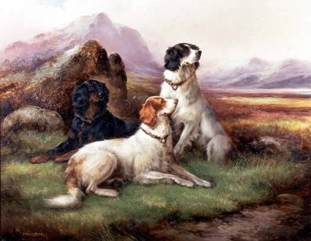 Setters in a Highland Landscape von Robert Cleminson
