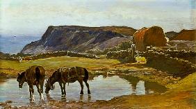 Watering the Horses 1902