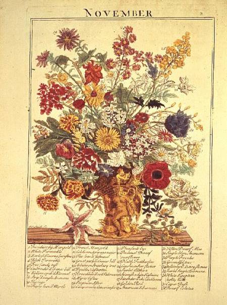 November from `Flower Garden Displayed' von Robert Furber