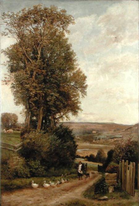 The Vale of Rothbury von Robert Jobling