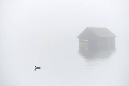 Fischerhaus im Nebel mit einer schwimmende Ente im See 2016
