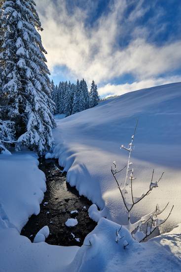 Romantische tiefverschneite Winterlandschaft mit Tanne und Bach  2018