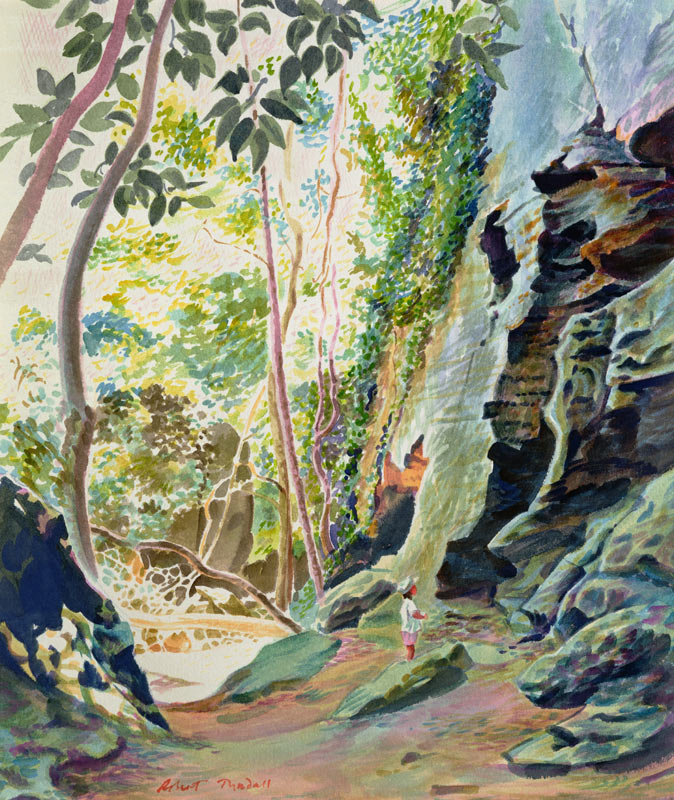 Rocks near Nowra, N.S.W. Australia (w/c)  von Robert  Tyndall
