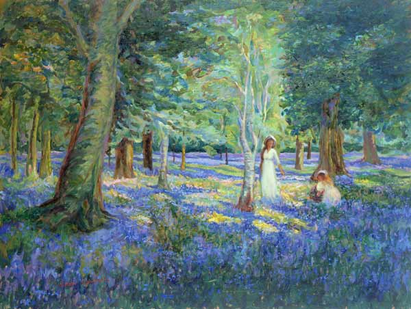 Bluebell Wood, 1908  von Robert  Tyndall