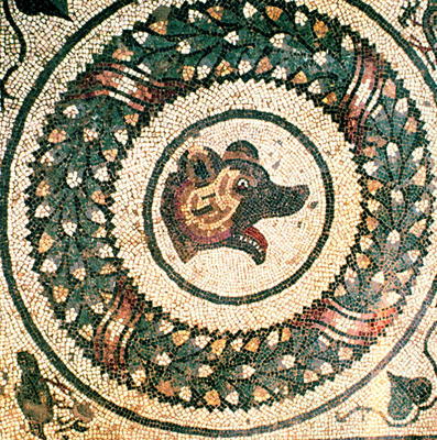 Bear's Head, Roman mosaic, early 4th century (mosaic) von Roman