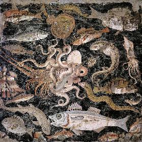 Undersea creatures 1532