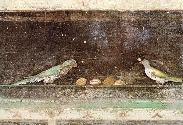 Birds eating nuts, detail from a tablinium decorated with Egyptian-style paintings c.27-14 BC
