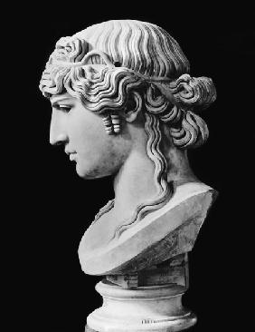 Bust of Antinous (c.110-30) called 'Antinous Mondragone' c.130-138