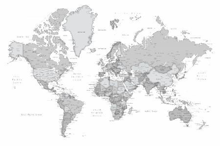 Graue Weltkarte mit Städten,Chas