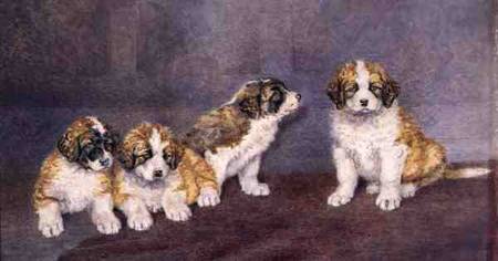 Puppies in Council von Rupert Arthur Dent