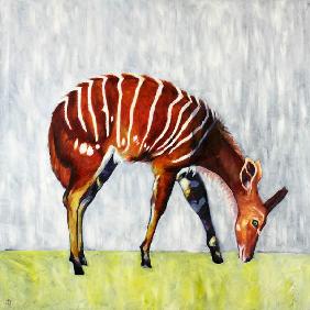 Nyala-Antilope 2001